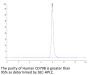 Human CD79B Protein (CD7-HM29B)
