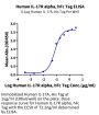 Human IL-17R alpha/CD217 Protein (CD7-HM2RA)