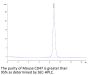 Mouse CD47 Protein (CD7-MM147)