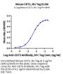 Mouse CD73/NT5E Protein (CD7-MM173)