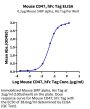 Mouse CD47 Protein (CD7-MM247)