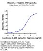 Mouse IL-17R alpha/CD217 Protein (CD7-MM2RA)