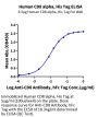 Human CD8 alpha/CD8A Protein (CD8-HM18A)