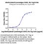Biotinylated Cynomolgus CD3E/CD3 epsilon Protein (Primary Amine Labeling) (CDE-CM101B)