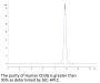 Human CD3G/CD3 gamma Protein (CDG-HM101)