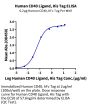 Human CD40 Ligand/TNFSF5 Protein (CDL-HE14L)