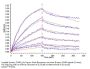 Human CD40 Ligand/TNFSF5 Trimer Protein (CDL-HM140)