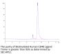 Biotinylated Human CD40 Ligand/TNFSF5 Trimer Protein (Primary Amine Labeling) (CDL-HM140B)