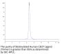Biotinylated Human CD27 Ligand/CD70 Trimer Protein (Primary Amine Labeling) (CDL-HM427B)