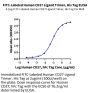 FITC-Labeled Human CD27 Ligand/CD70 Trimer Protein (CDL-HM427F)