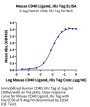 Mouse CD40 Ligand/TNFSF5 Protein (CDL-MM140)