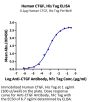 Human CTGF/CCN2 Protein (CGF-HM101)