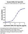 Human CDH6/Cadherin 6 Protein (CHD-HM106)