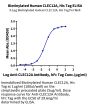 Biotinylated Human CLEC12A/MICL/CLL-1 Protein (CLE-HM42AB)
