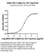 SARS-COV-2 Spike S1 Protein (COV-VM2S1)