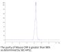 Mouse C-Reactive Protein/CRP Protein (CRP-MM101)