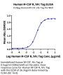 Human M-CSF R/CSF1R/CD115 Protein (CSF-HM21R)