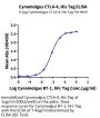 Cynomolgus CTLA-4/CD152 Protein (CTL-CM141)