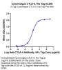 Cynomolgus CTLA-4/CD152 Protein (CTL-CM141)