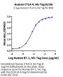 Human CTLA-4/CD152 Protein (CTL-HM141)