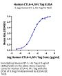 Human CTLA-4/CD152 Protein (CTL-HM241)