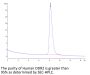 Human DDR2 Protein (DDR-HM1R2)