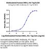 Biotinylated Human DKK1 Protein (DKK-HM401B)
