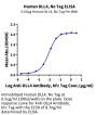 Human DLL4 Protein (DLL-HM004)