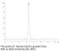 Human DLL4 Protein, Ultra Low Endotoxin (DLL-HM204-UL)