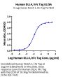 Human DLL4 Protein, Ultra Low Endotoxin (DLL-HM204-UL)