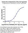Human DLL3 Domain (311-479) Protein, Ultra Low Endotoxin (DLL-HM4D1-UL)