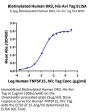 Biotinylated Human DR3/TNFRSF25 Protein (DR3-HM401B)