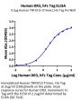 Human DR3/TNFRSF25 Protein (DR3-HM603)