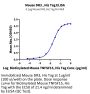 Mouse DR3/TNFRSF25 Protein (DR3-MM101)