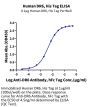Human DR6/TNFRSF21 Protein (DR6-HM101)