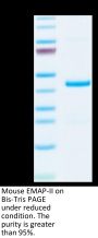 Mouse EMAP-II/AIMP1 Protein (EAP-ME102)
