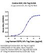 Canine EGF Protein (EGF-DE101)