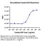 Canine EGF Protein (EGF-DE101)