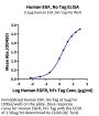 Human EGF Protein (EGF-HE001)