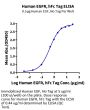 Human EGFR/HER1 Protein (EGF-HM201)