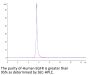 Human EGFR/HER1 Protein (EGF-HM201)