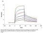 Mouse EGF Protein (EGF-MM202)