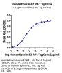 Human Ephrin-B2/EFNB2 Protein (ENB-HM201)