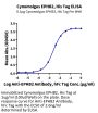 Cynomolgus EPHB2 Protein (EPH-CM102)