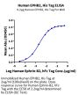 Human EPHB2 Protein (EPH-HM101)