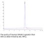 Human EPHA2 Protein (EPH-HM1A2)