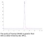 Human EPHA5 Protein (EPH-HM1A5)
