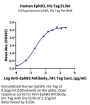 Human EphB3 Protein (EPH-HM1B3)