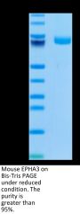 Mouse EPHA3 Protein (EPH-MM1A3)