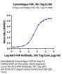 Cynomolgus FAP Protein (FAP-CM101)